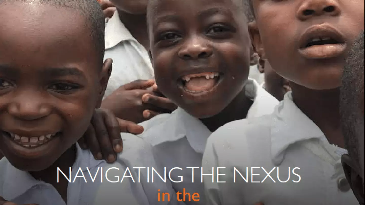 Navigating the Nexus in the Democratic Republic of Congo