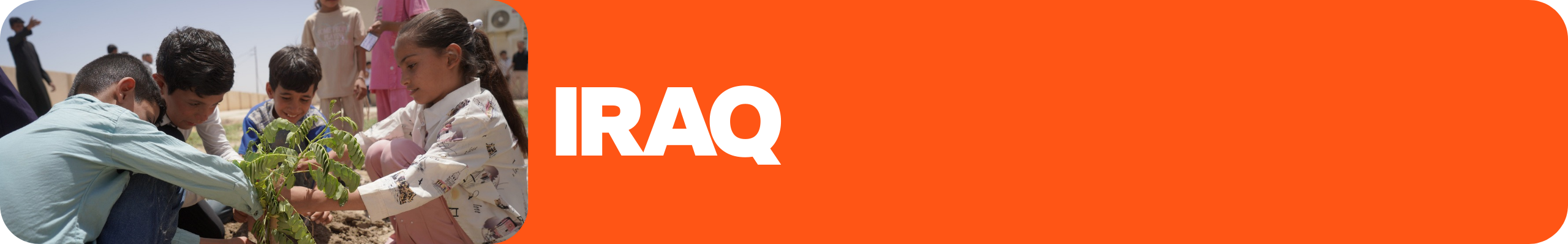 iraq label