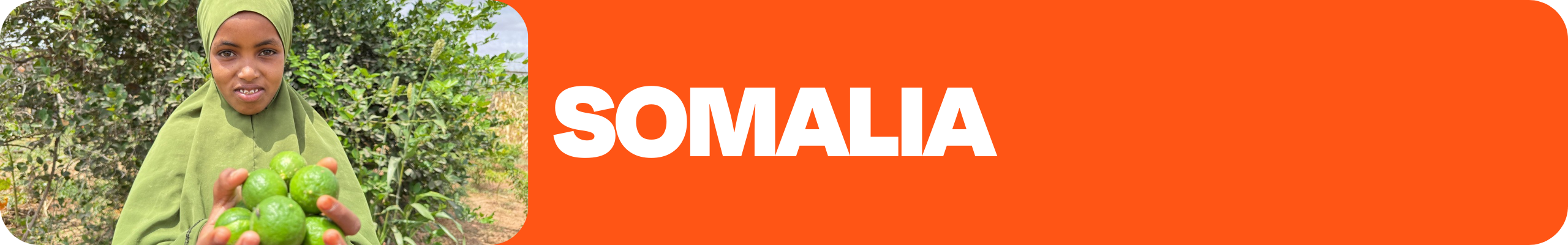 somalia label