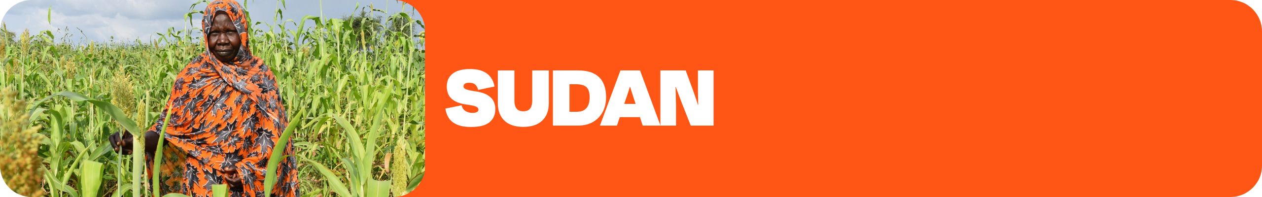 sudan label