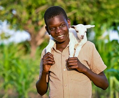 Ugandan boy carrying a goat on his shoulders