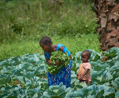 Woman farmer from DRC with her child in a cabbage field.
