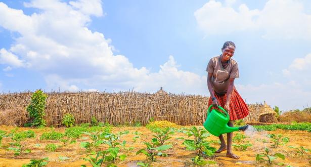 Expectant Mariah Watering her garden where she used Zai Pit technology