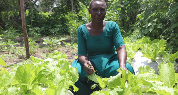 Vegetables grown in Julianas home garden.