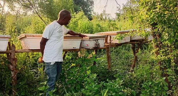 Mwinyi looking at the hives