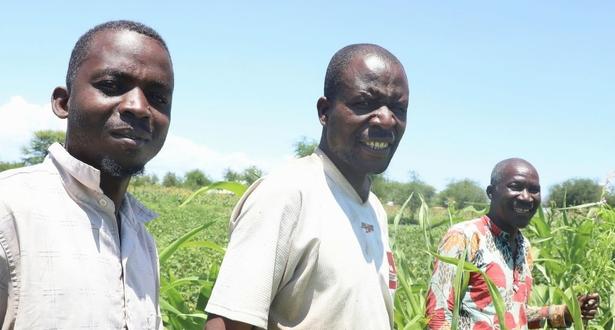 Members of the Baba Bora group in a sorghum farm