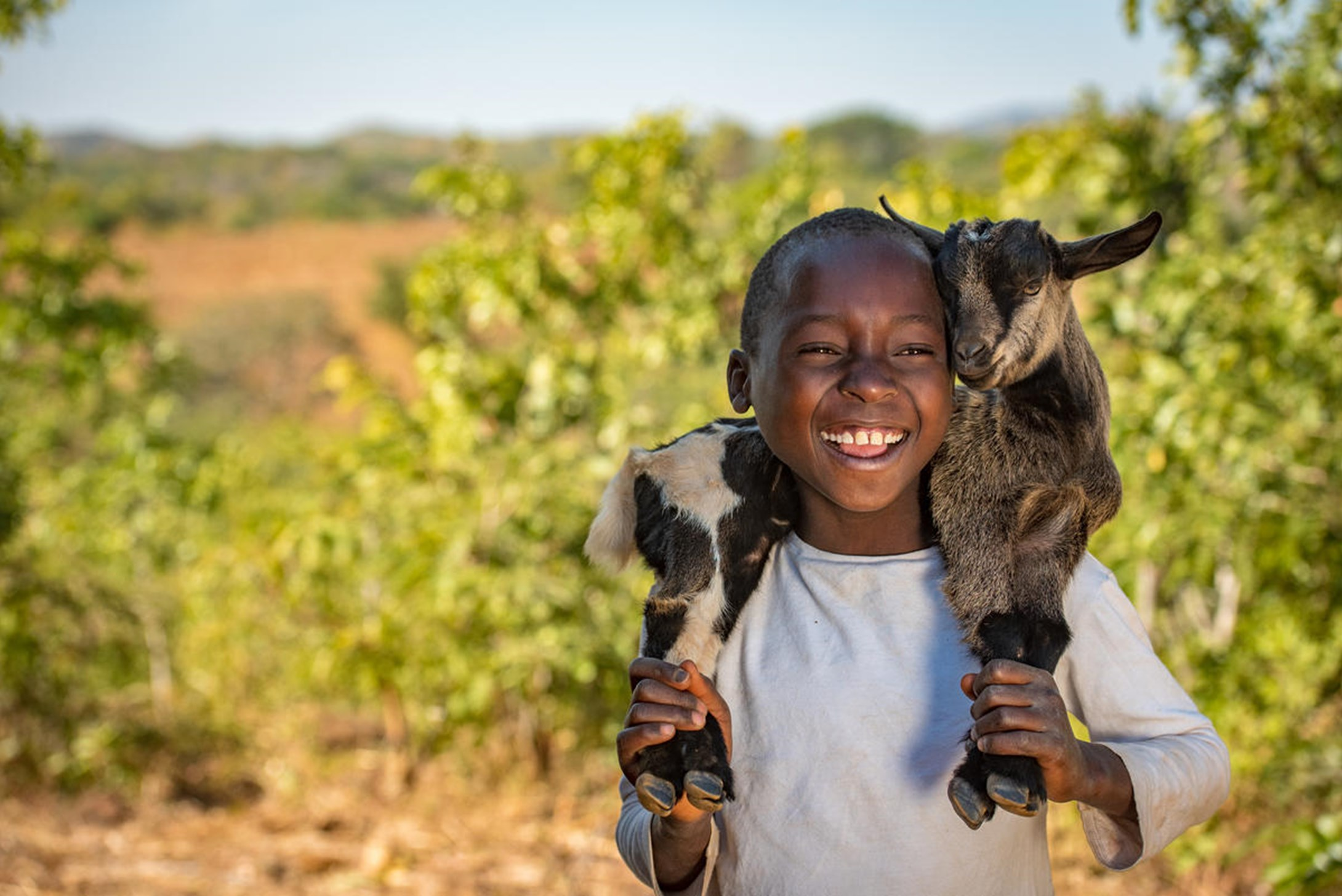 A Boy with a Goat.