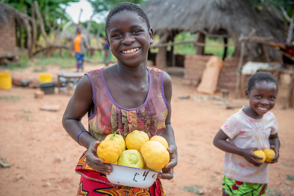 zambia_2018_-wv18582