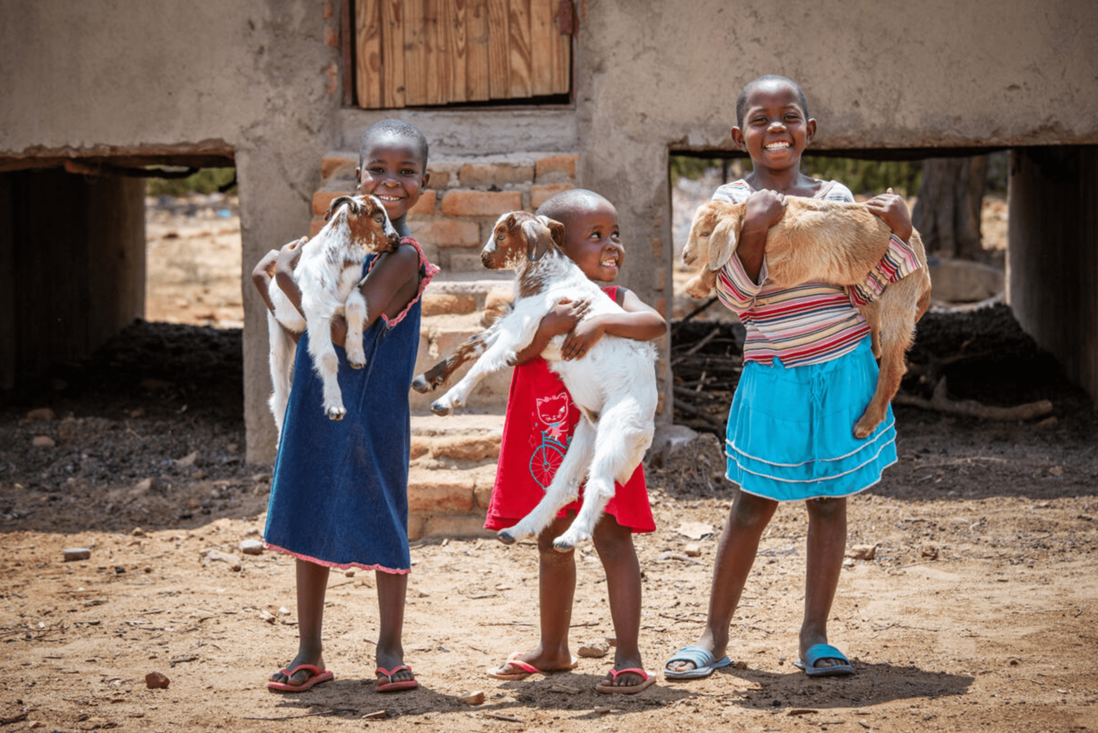 Children holding their goats in Zimbabwe