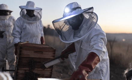 Members of a Bee Keepers Group in Eswatini (Swaziland) join together to harvest the first hives that were provided to help diversify their family incomesMembers of a Bee Keepers Group in Eswatini (Swaziland) join together to harvest the first hives that were provided to help diversify their family incomes