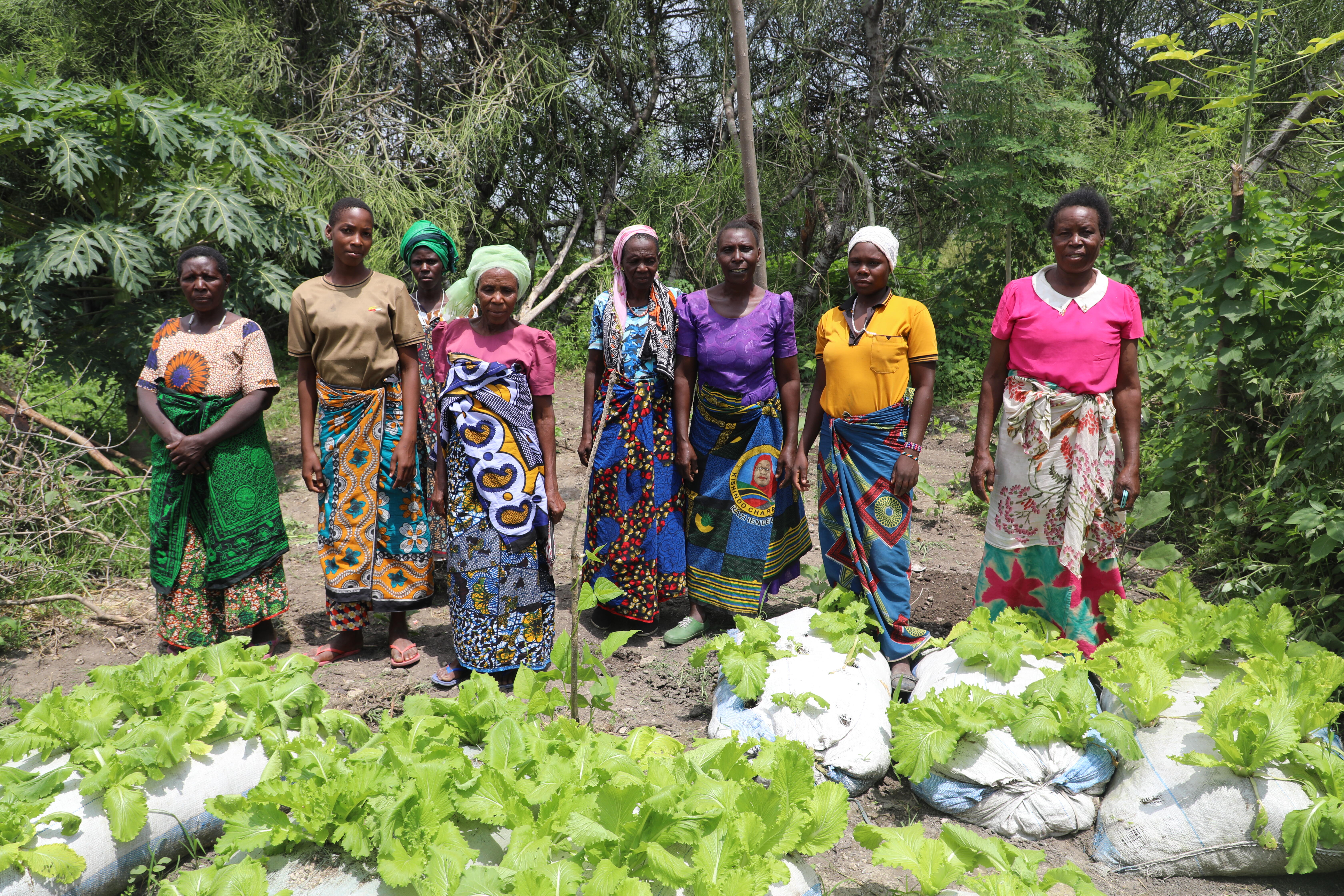 Members of the mapambano group in the vegetable garden.