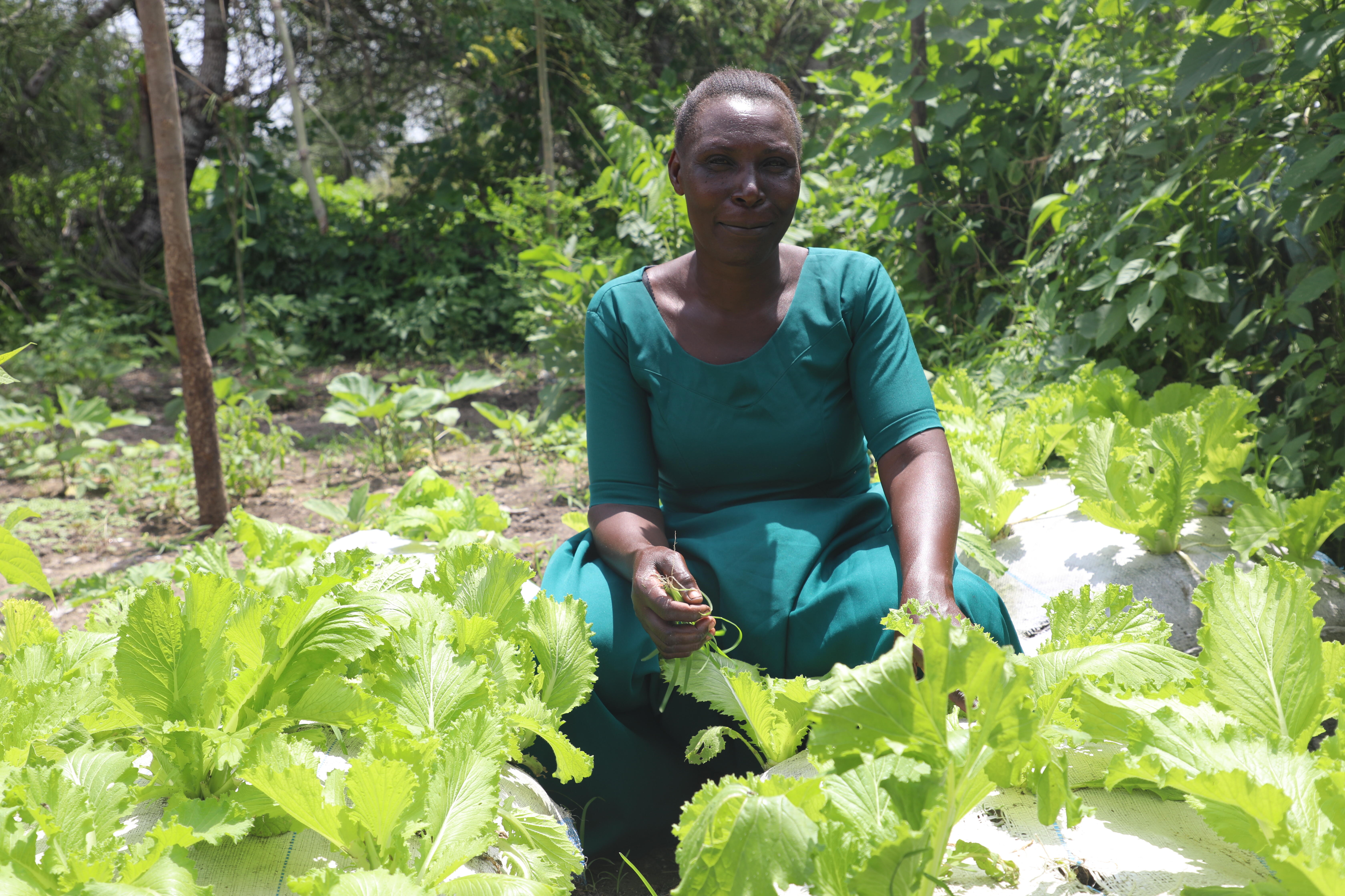 Vegetables grown in Julianas home garden.