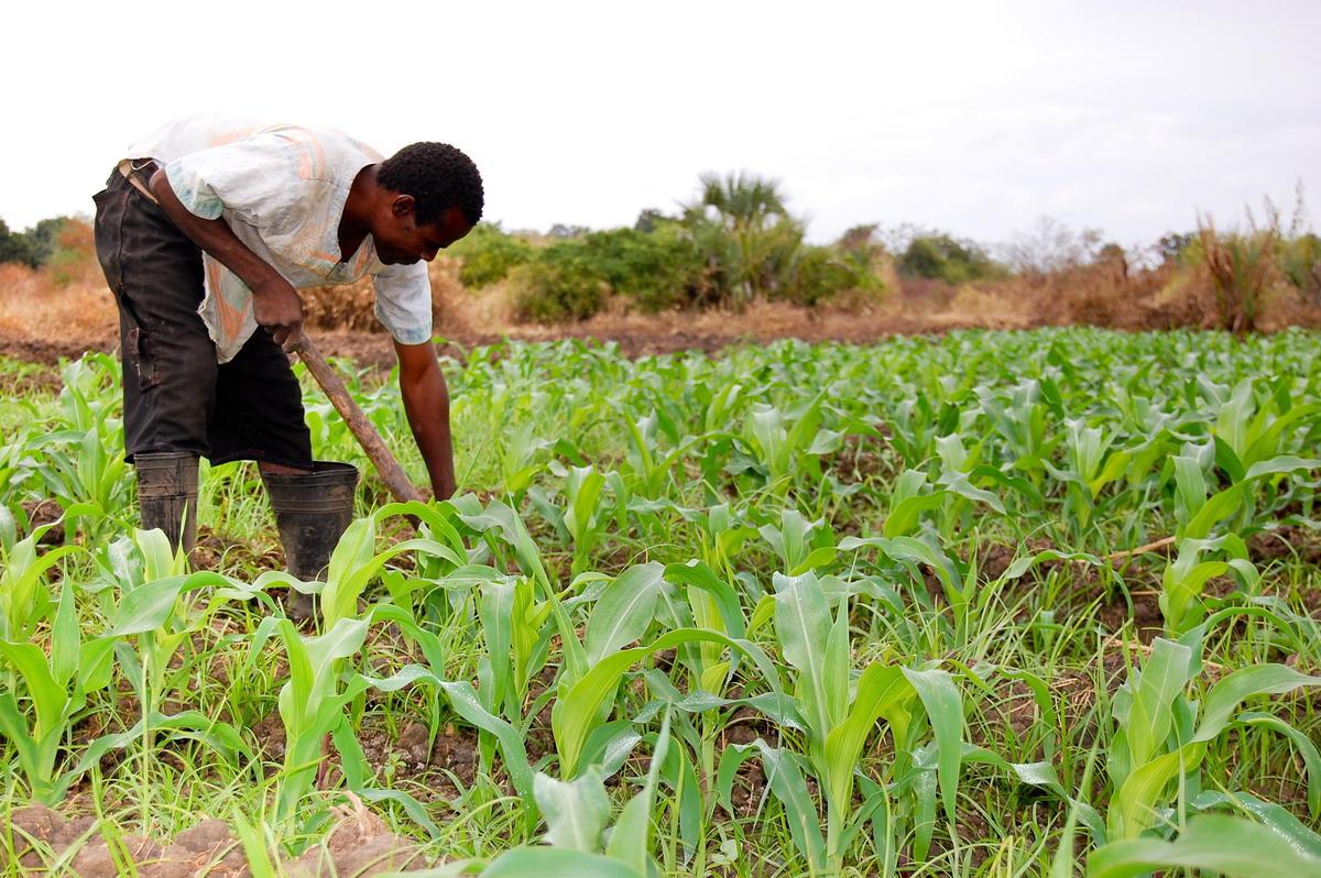 Hungry No More: Food Aid Paves For A Brighter Future Ahead For Children