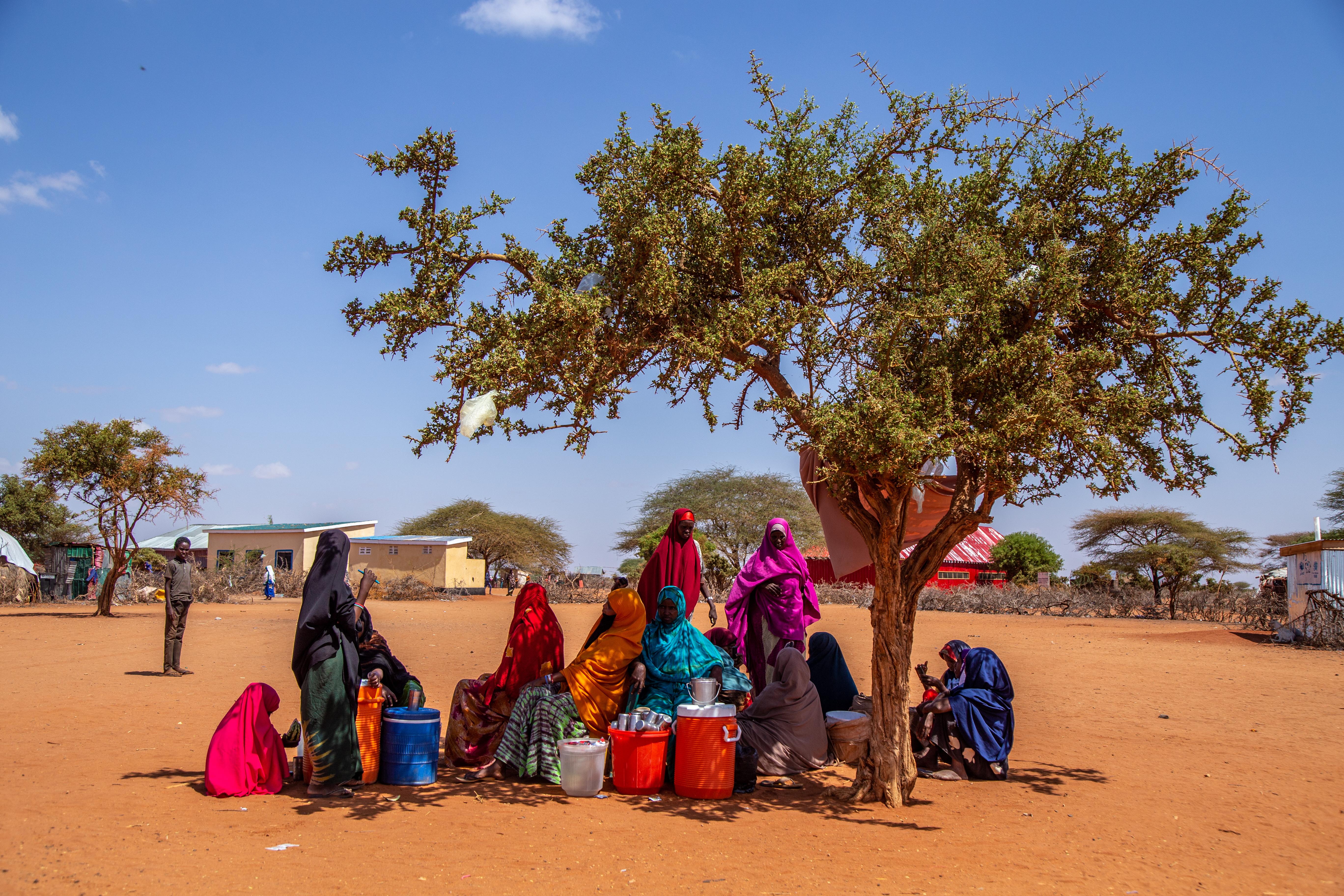 Drought Displacement in Dollow, Somalia