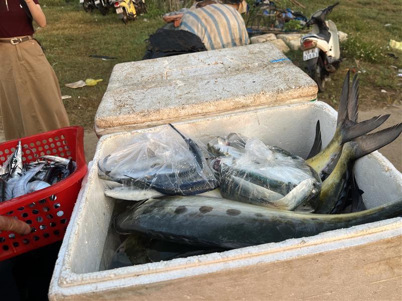 fishermen in Cua Tung