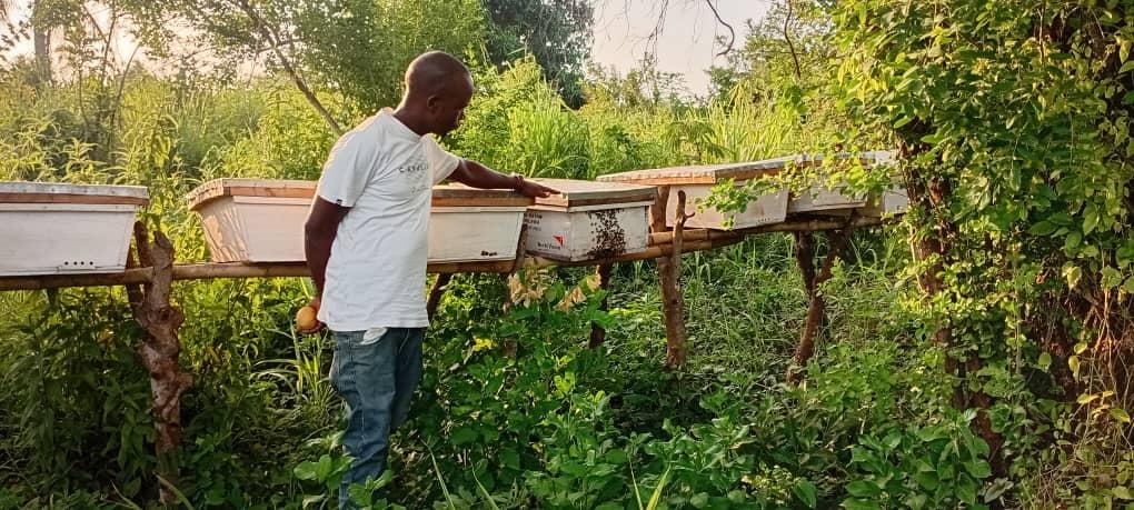 Mwinyi looking at the hives