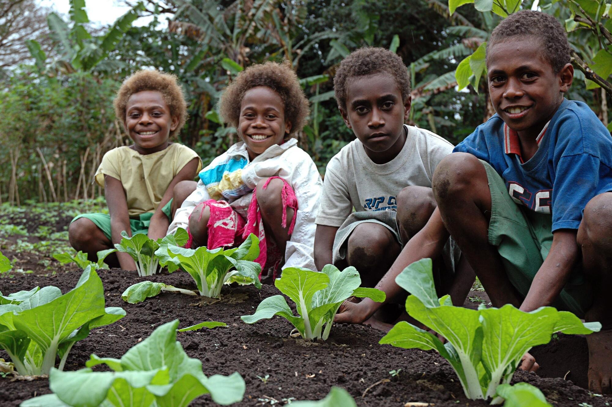 Petro, Wedo, Mary, and Mary from Lenaken middle school in Vanuatu looking after a school garden