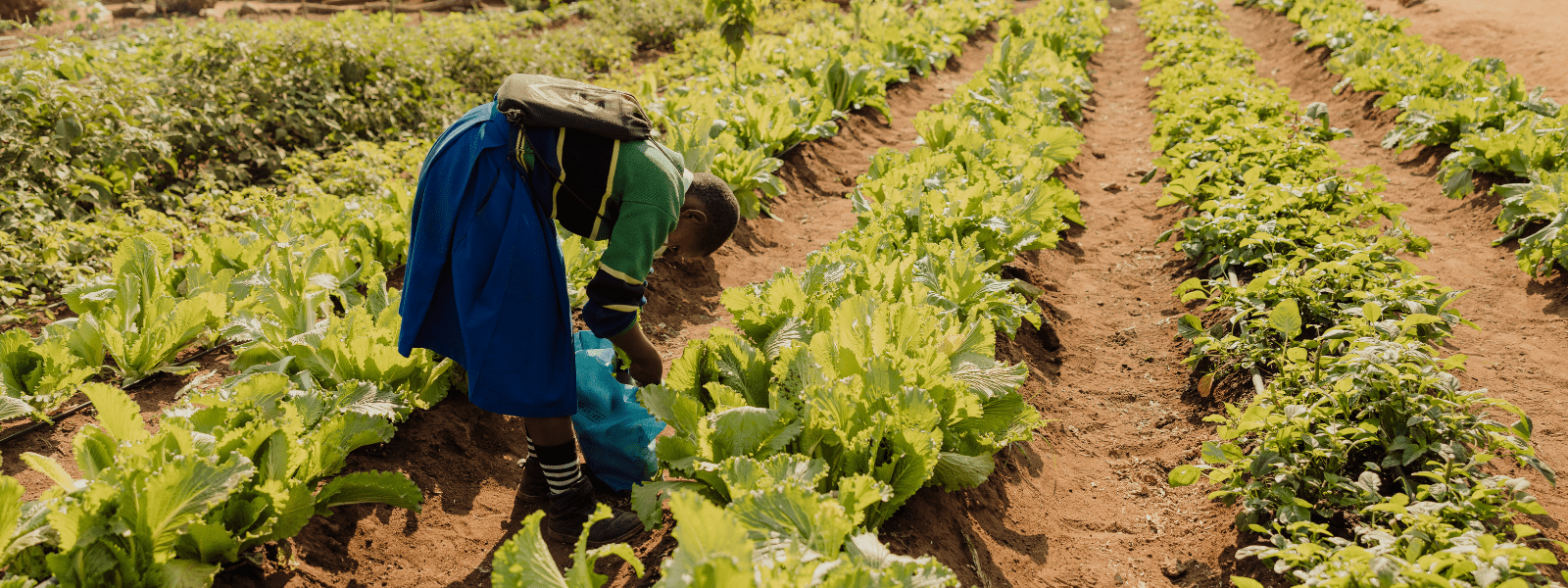 Girl planting in her garden