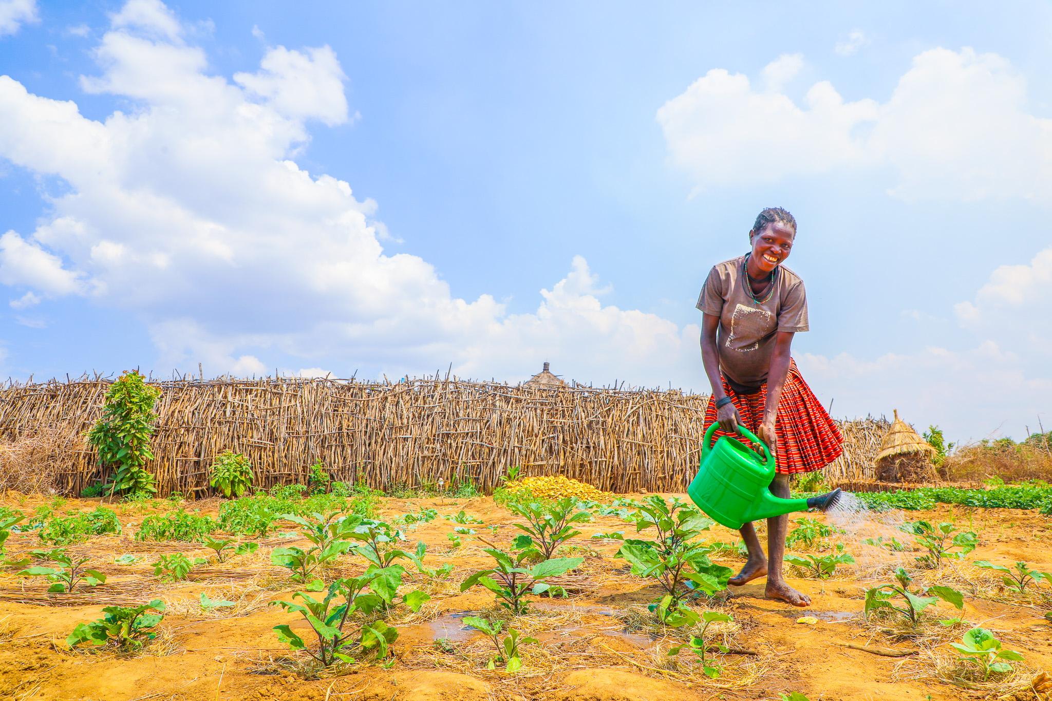 Zai Pits Transforming Nutrition and Food Security in Karamoja