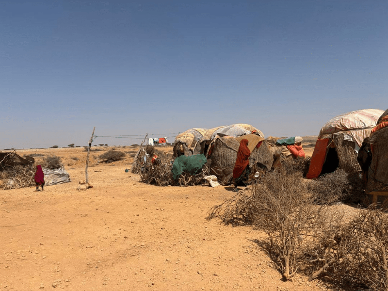 Drought in somalia