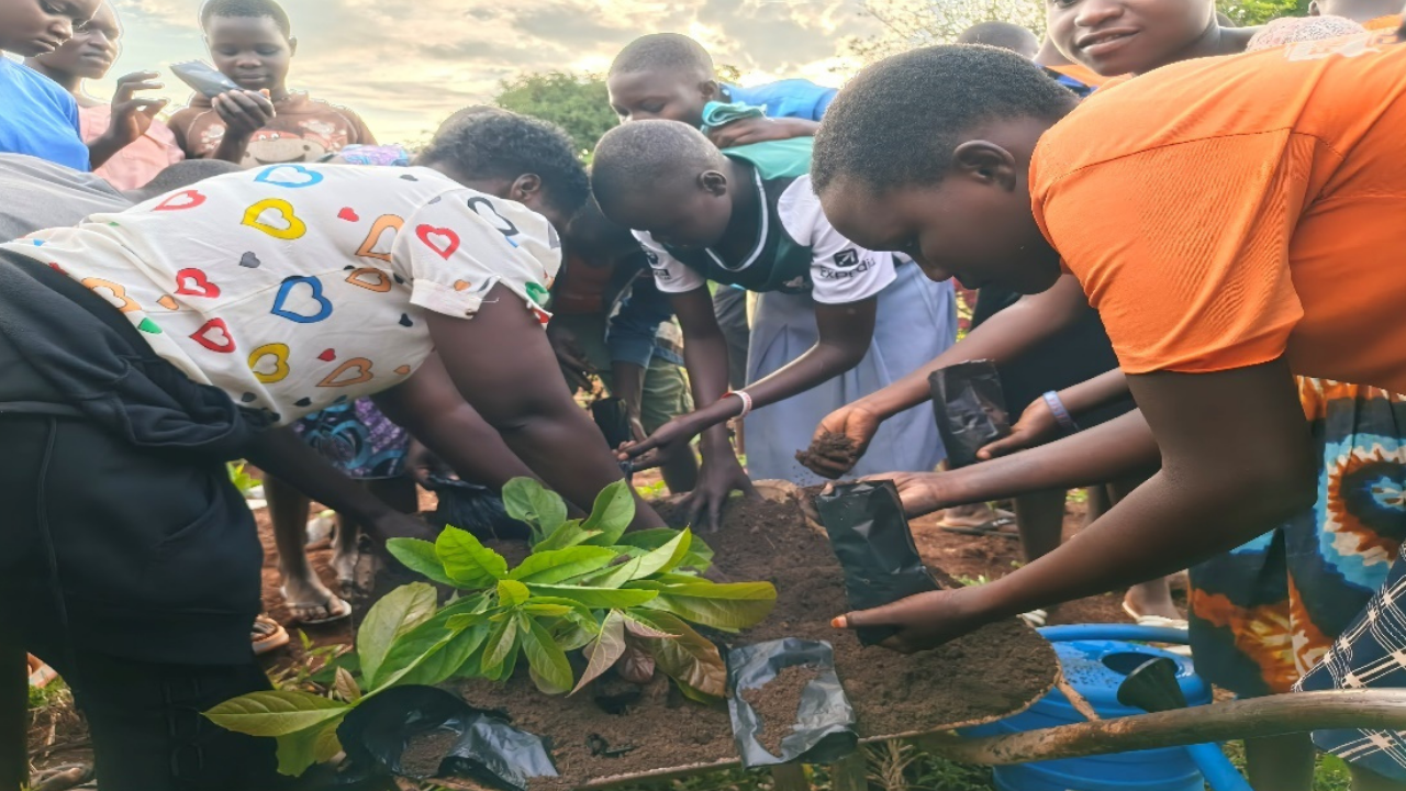 Pupils water the potted seedlings