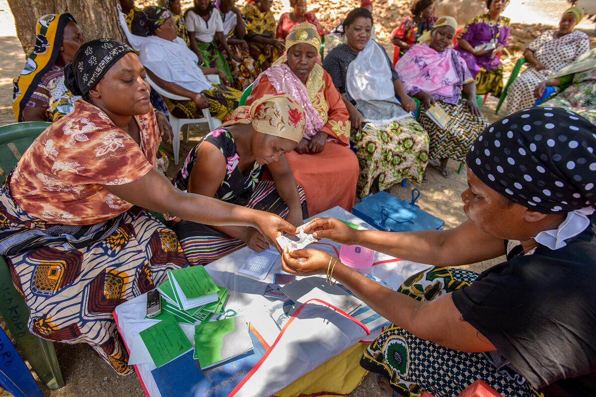 Saving for transformation group in Tanzania