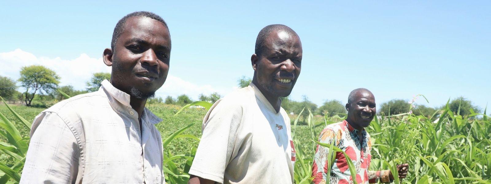 Members of the Baba Bora group in a sorghum farm