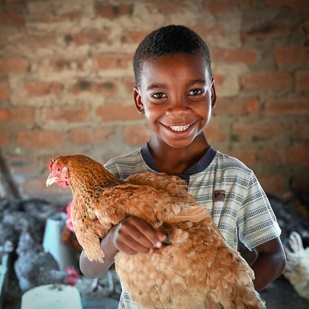 A gift of chickens
