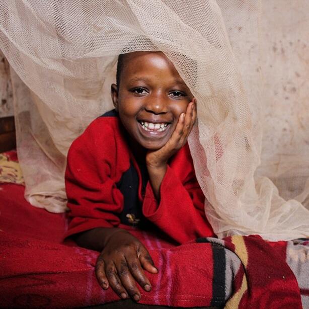 Mosquito net